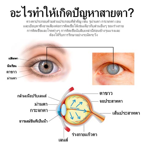 ATTDX Treatment EyeProblems SolutionDrops